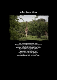A Day in our Lives-1