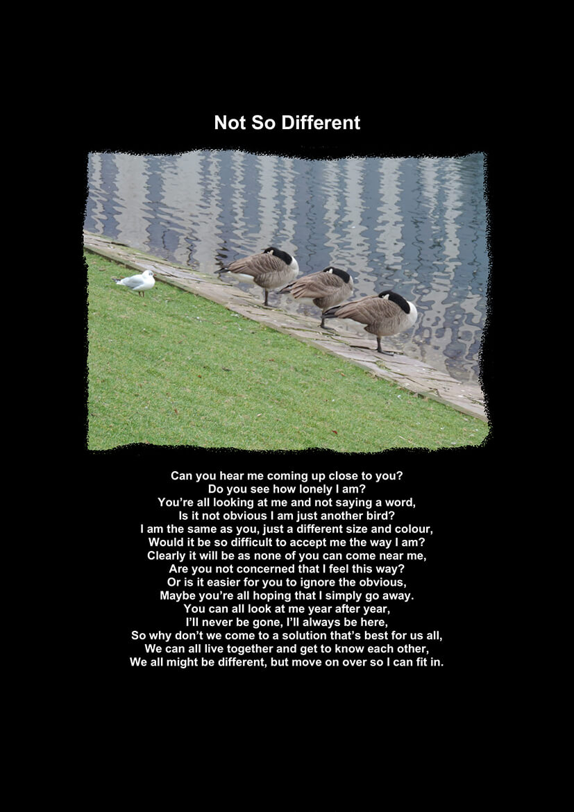 Not So Different-1