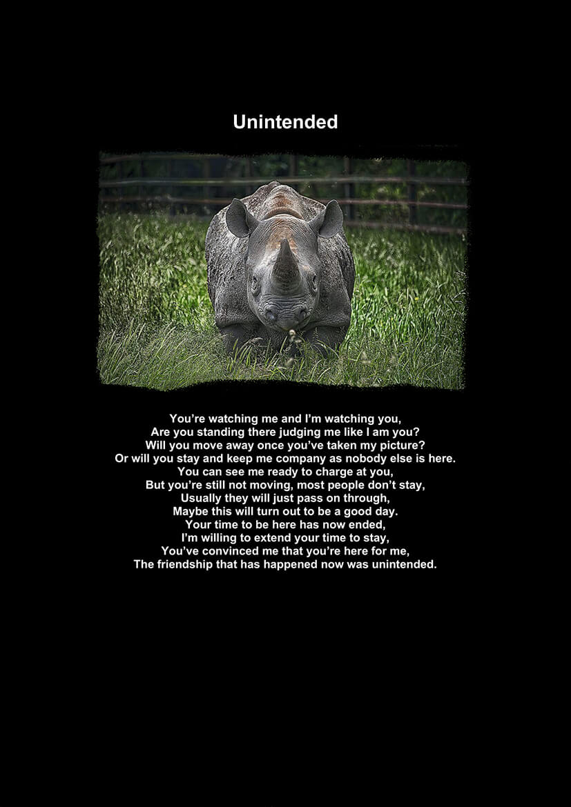 Unintended-1