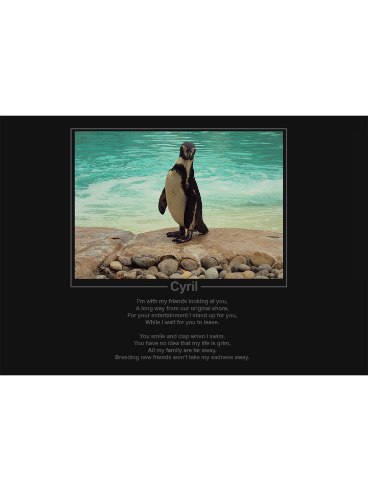Cyril